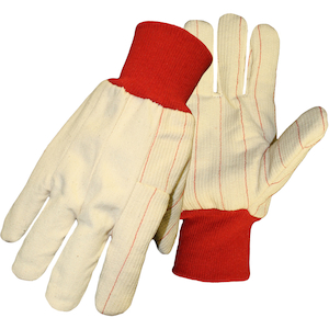 Canvas Double Palms